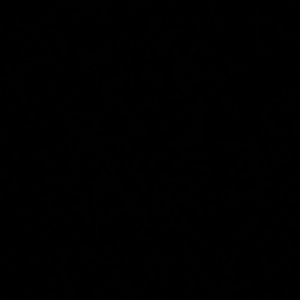 Meet your Posher, Itzel